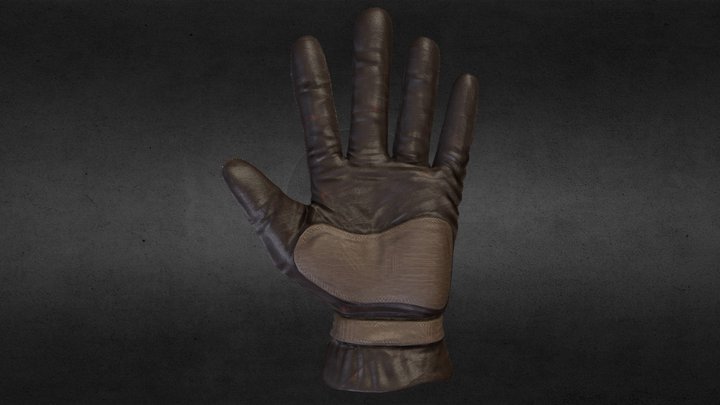 Glove 3D Model
