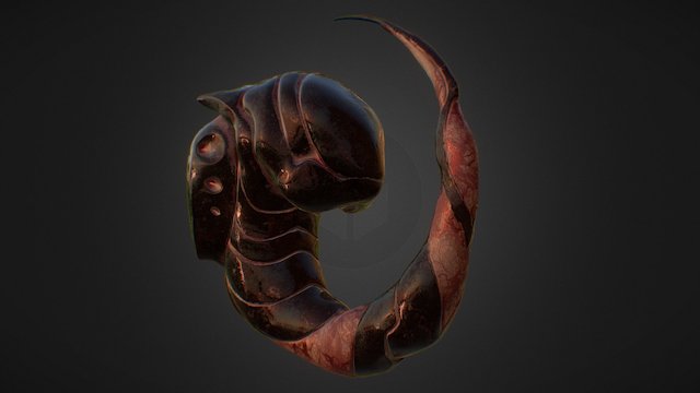 Zerg pup 3D Model