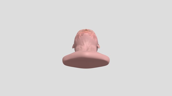 Ghoul from fallout 3D Model