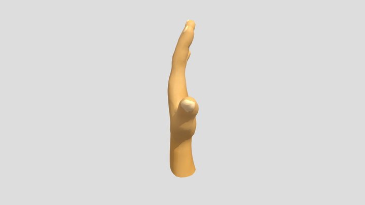 Hand_Ferre_Ceustermans 3D Model