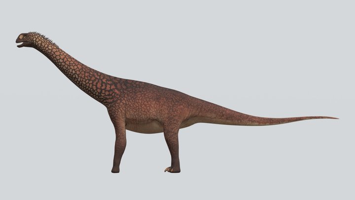Accurate Camarasaurus grandis reupload – Free 3D Model STL