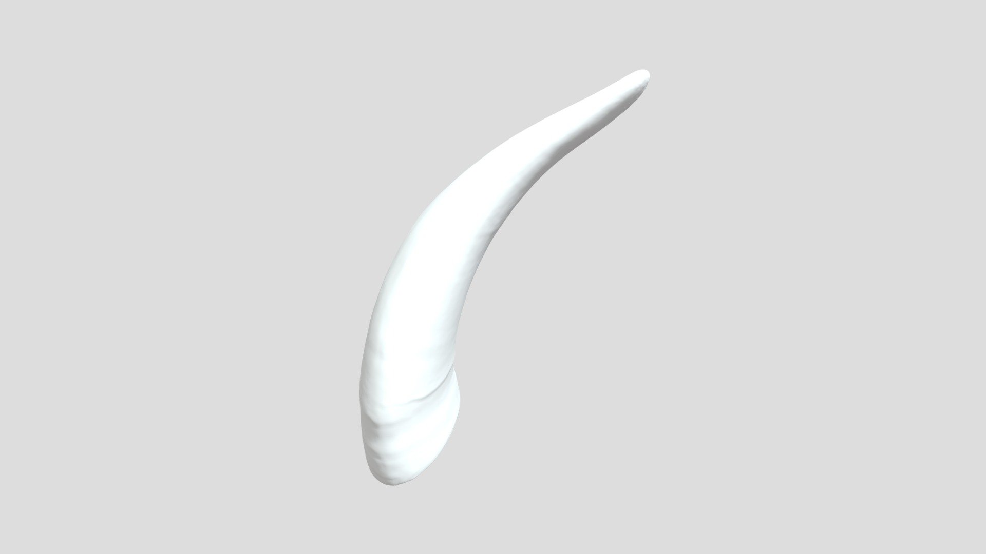 left horn