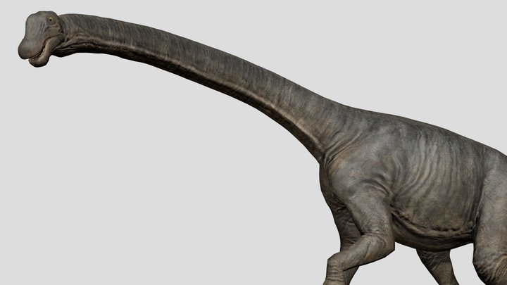 Amazing Dinoworld Tambatitanis