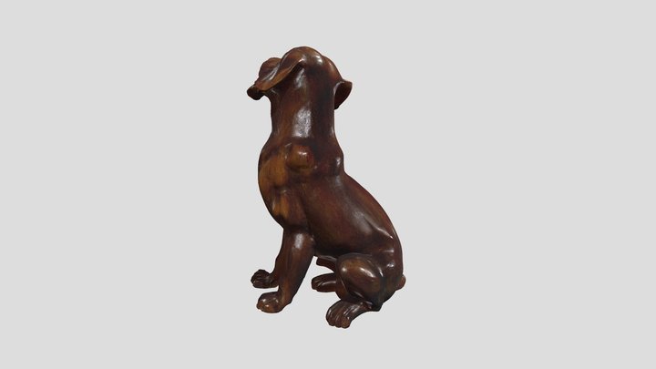 dog 3D Model