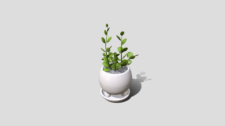Mini Plant – Free 3D Model STL