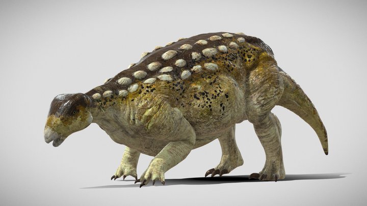 Saurus 3D models - Sketchfab
