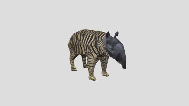 Tapir 3D Model