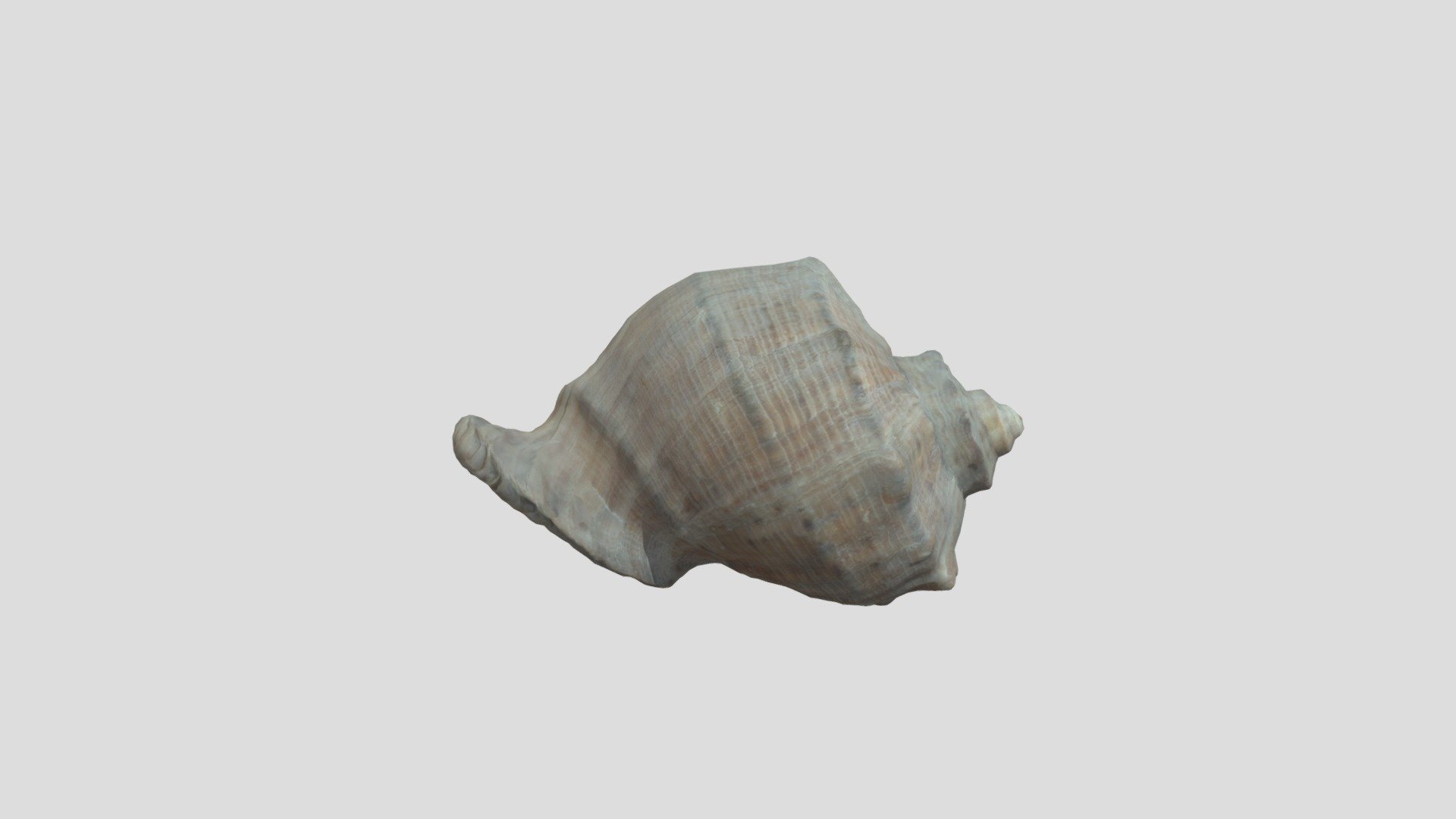 DTS4.2_CUINDA_Y1_NamanChoudhary_J09_SHELL