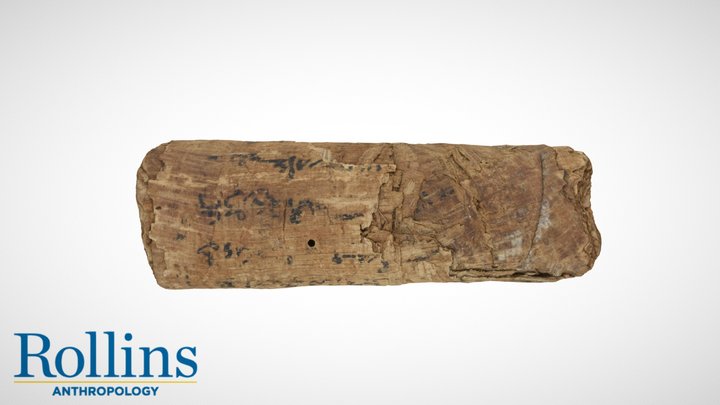 Papyrus Scroll (New Kingdom) 3D Model