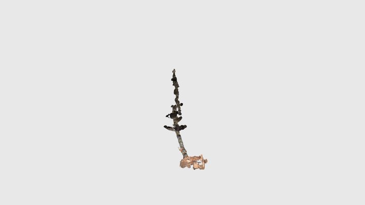 Mina Santa Isabel 2 3D Model
