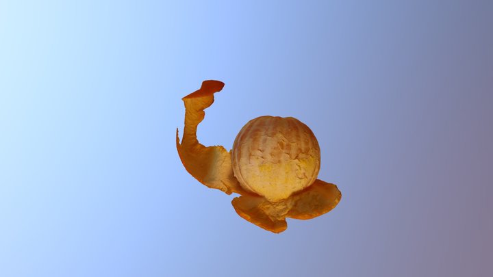 ORANGE MALTAISE JPEG 3D Model