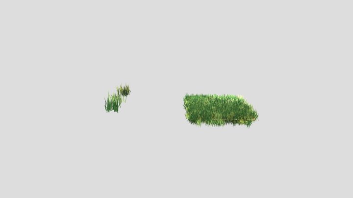 Grass