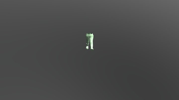 Legs 3D Model