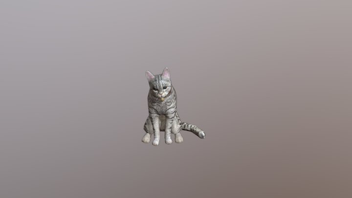 Striped cat 3D Model
