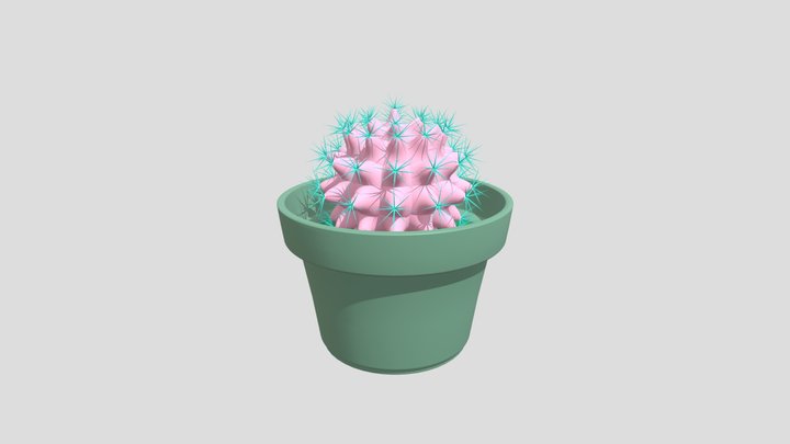 Cactus PNK 3D Model