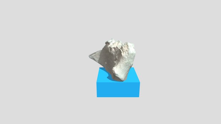 Pubic Symphysis II-1 3D Model