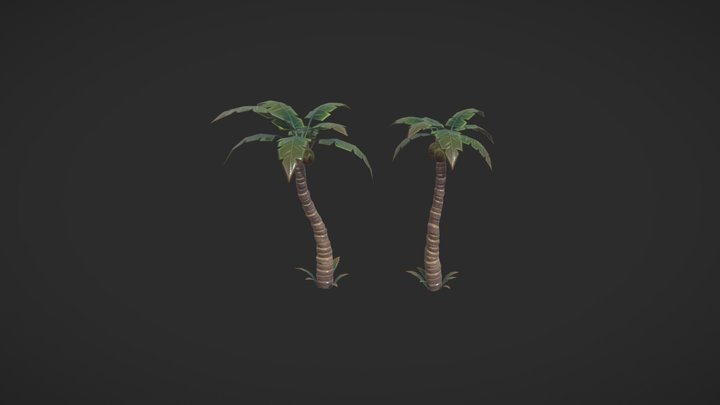 Plam Plam Trees 3D Model