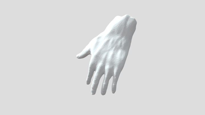 3D-hand-model 3D Model