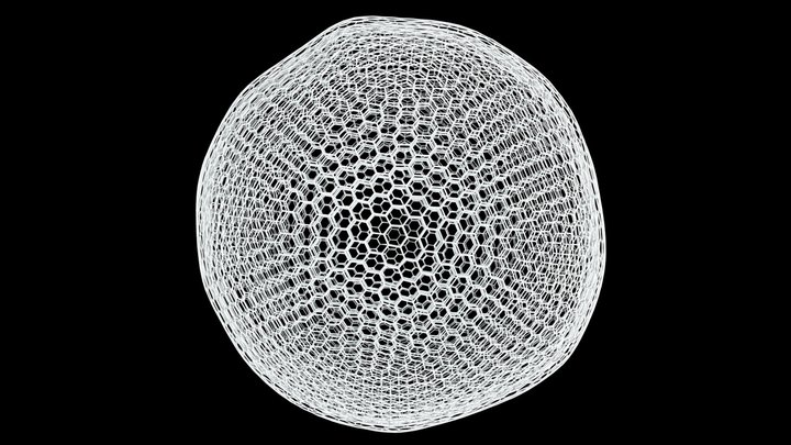 Nucleus Honeycomb/Goldberg polyhedron 3D ROIs 3D Model