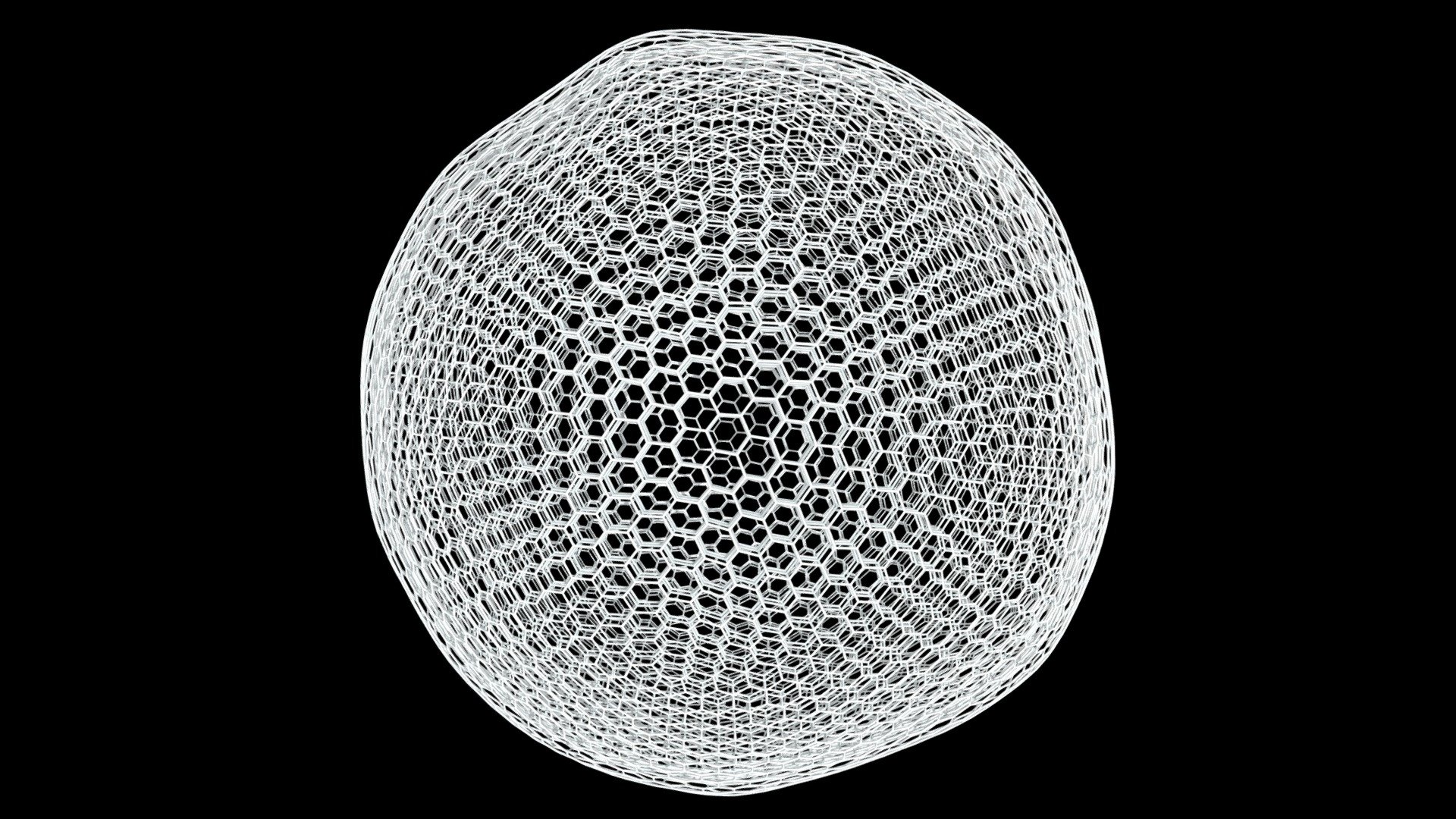 Spermatid Nucleus Honeycomb Rois Download Free 3d Model By Lukas Ded