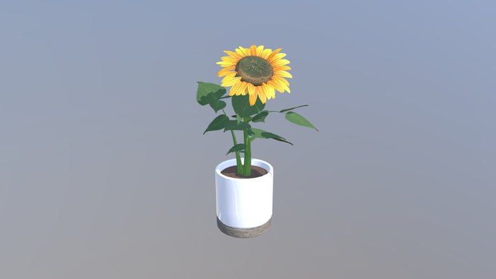 Potted Sunflower 3D Model