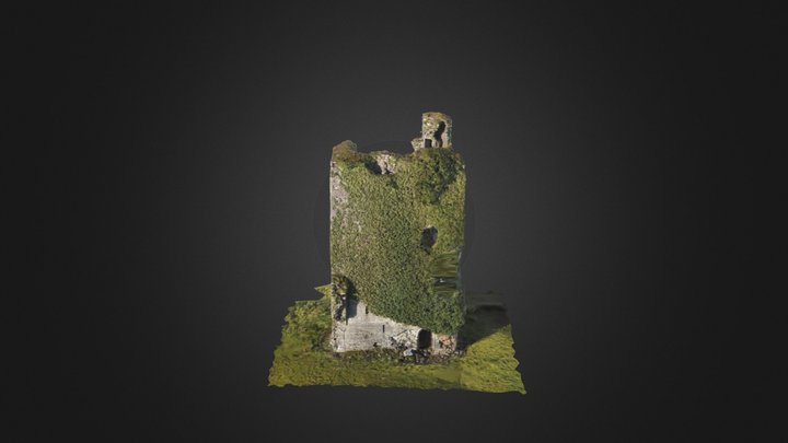 Sandfordscourt: Cantwell's Castle 3D Model