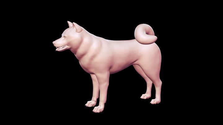 Shiba Inu Base Mesh 3D Model 3D Model