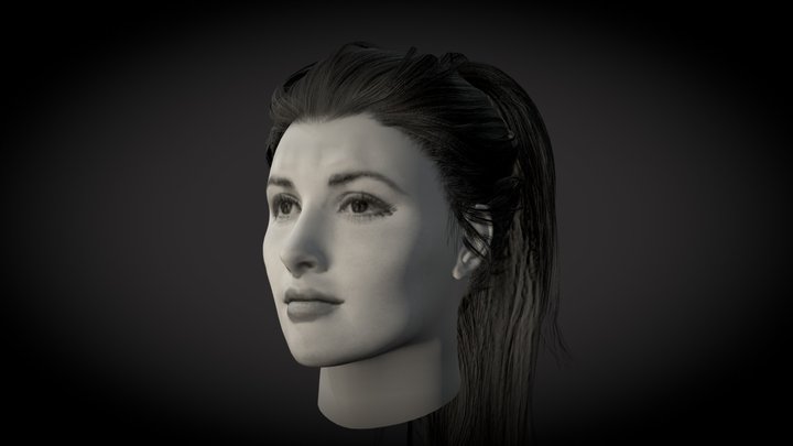 Head 3D Model