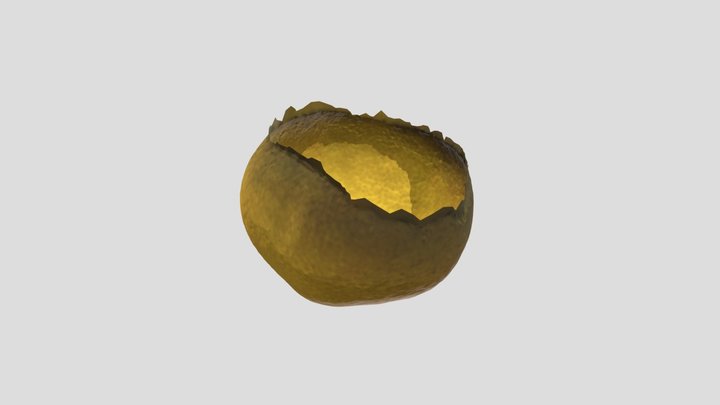 20221938_kimjiin 3D Model