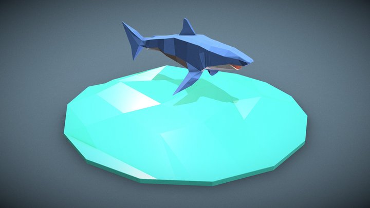 Low Poly Shark 3D Model