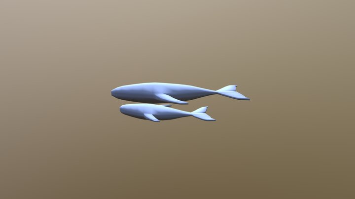 Ballena 3D Model