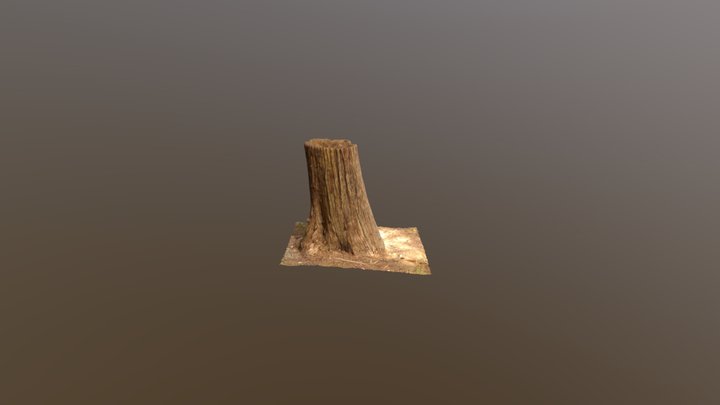 近所の森林公園の木 3D Model