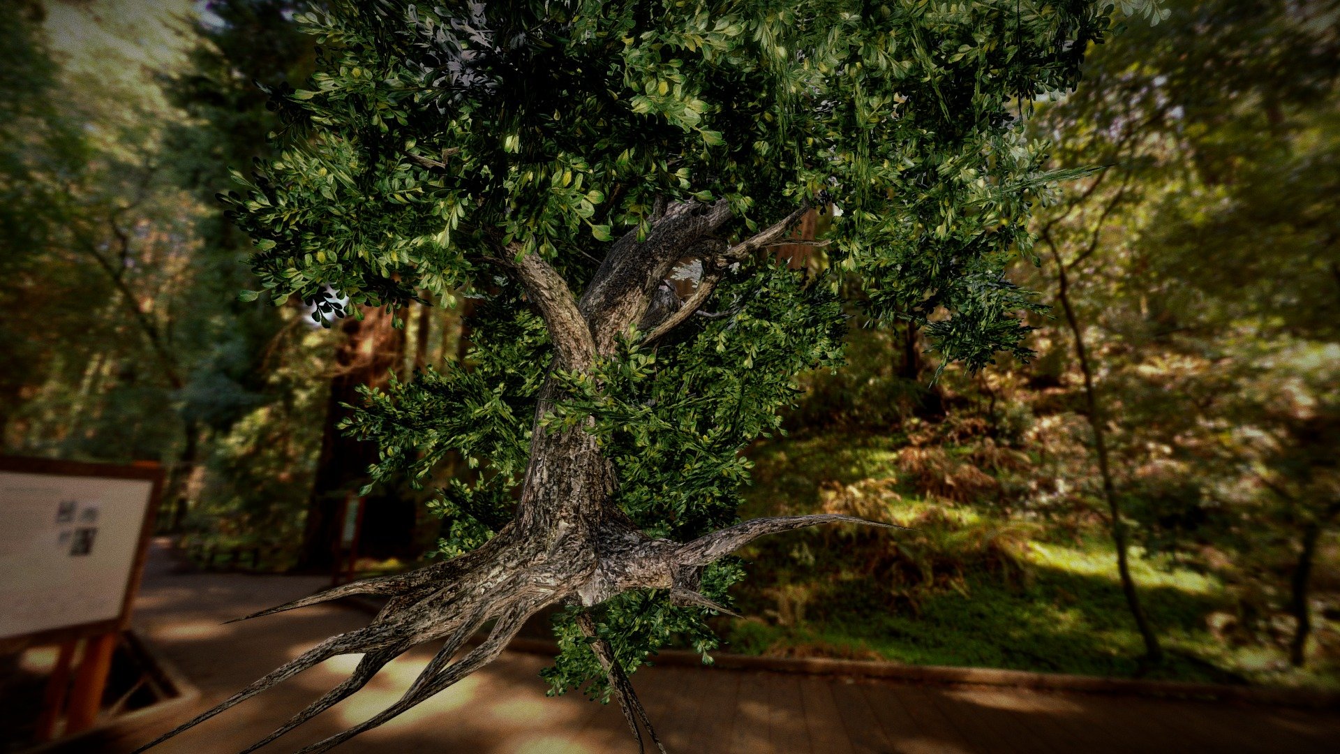 Broadleaftree