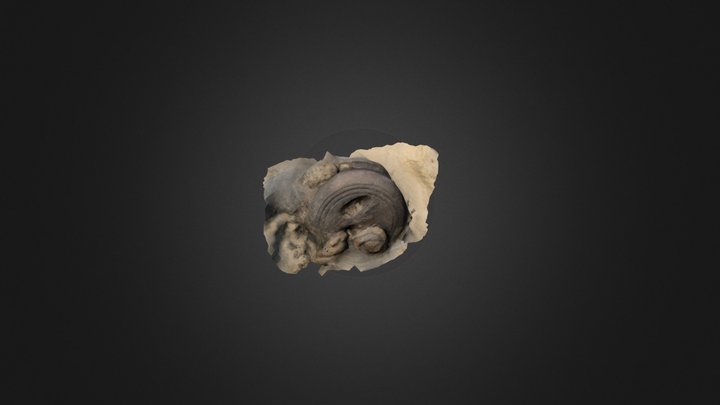 Deadeye For Amazon Shipwreck 3D Model