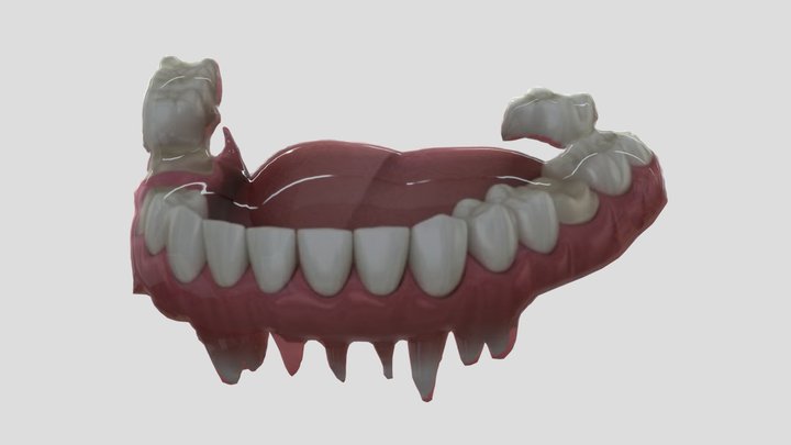 Gigi manusia zick 3D Model