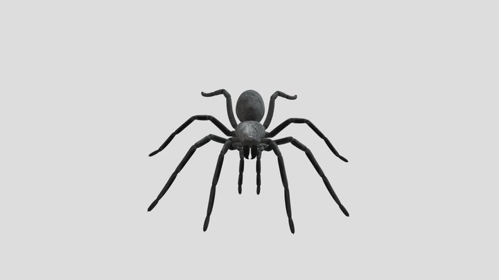 Scary spider game model free