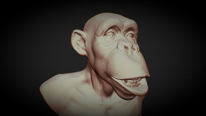 Monkey 3D Model