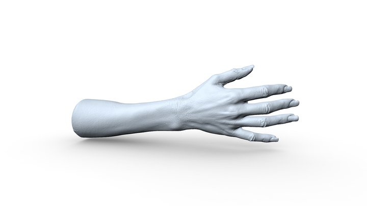 Hand 3D Model