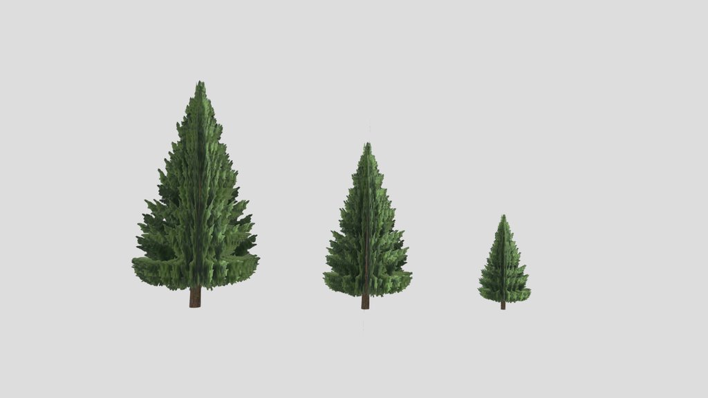 Fluffy Pine Trees (Free Standard)