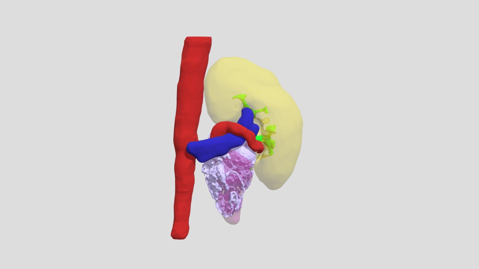 Dr.Nilo_24_05_2021v2