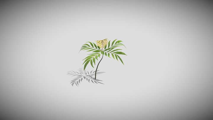 Berberis fortunei Mahonia fortunei 3D Model