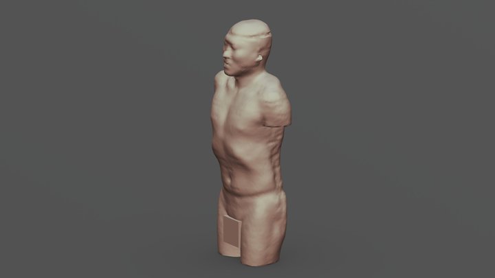 Real torso made from CT_skin 3D Model