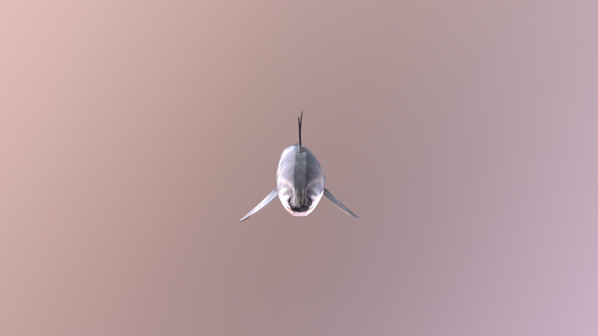 Megalodon