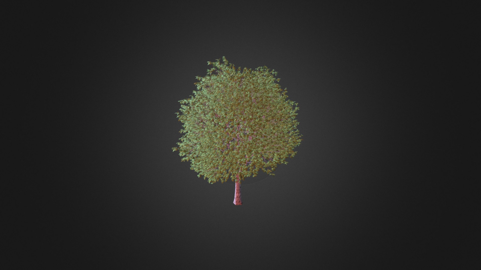 3D model London Plane Tree (Platanus × acerifolia) 13.4m - This is a 3D model of the London Plane Tree (Platanus × acerifolia) 13.4m. The 3D model is about shape.
