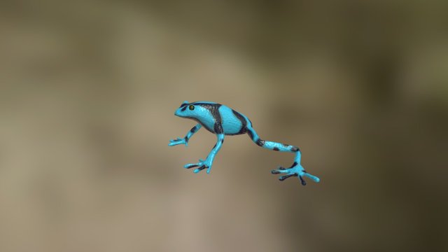 Tree Frog 3D Model