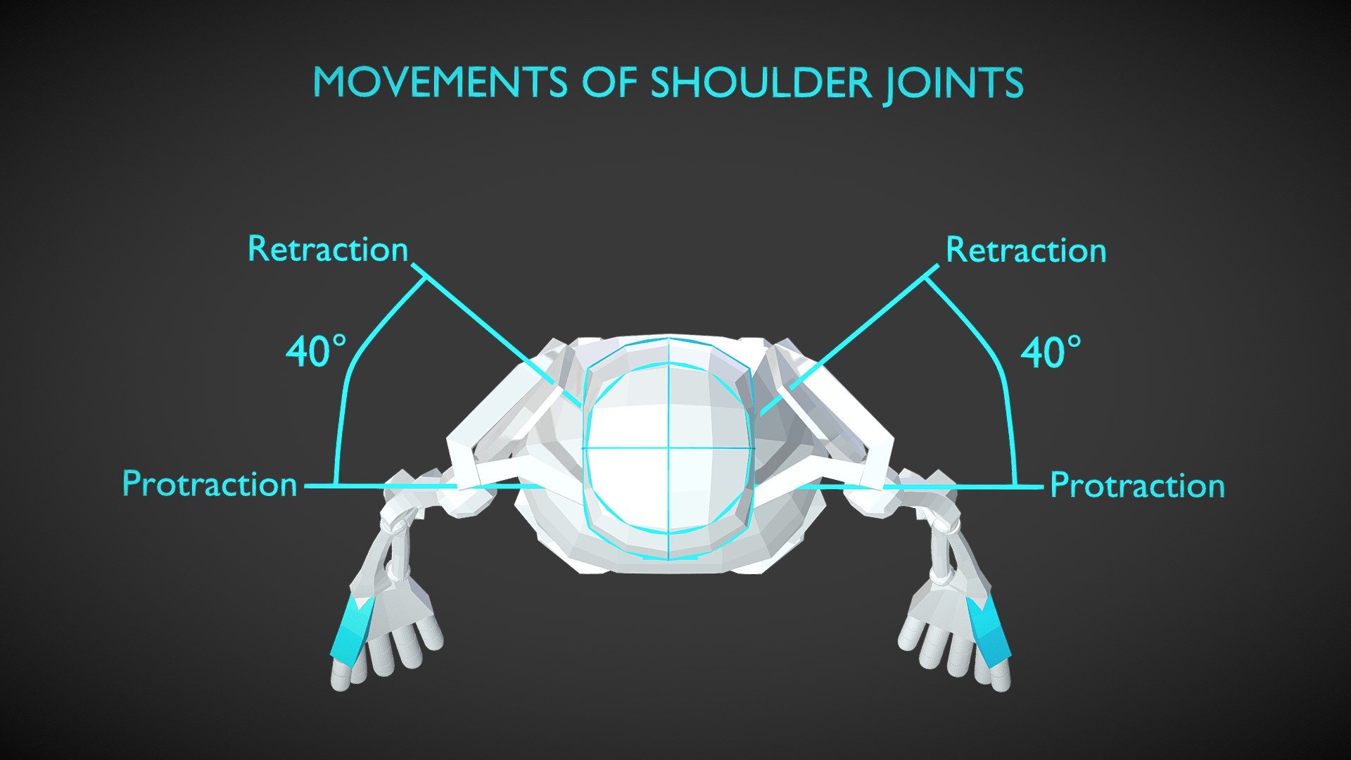 Shoulder Movement Animation - 3D model by chummy-island [dc590ac ...