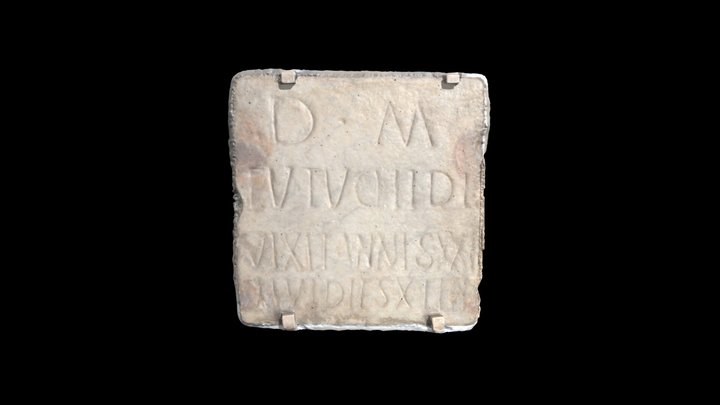 ANChandler 3.77 - photogrammetry model 3D Model
