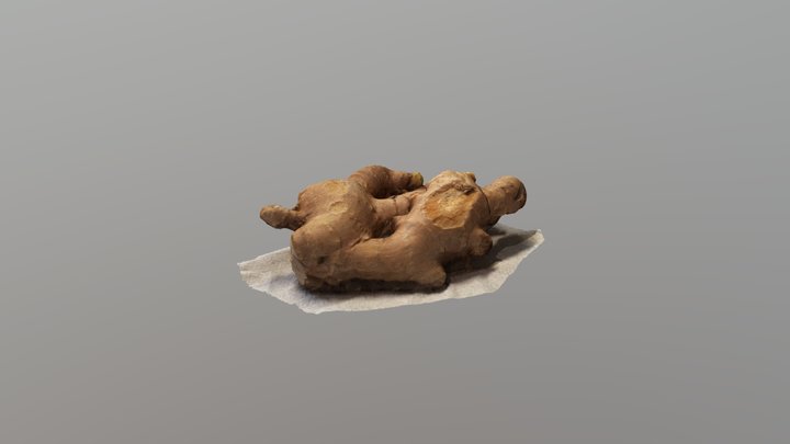 Ginger 3D Model