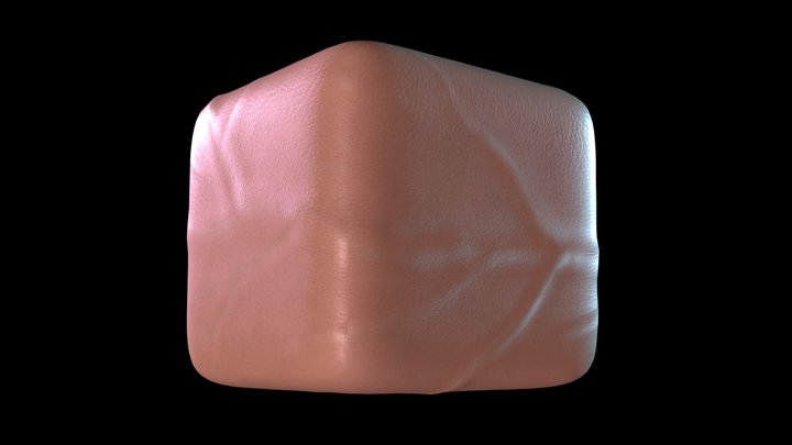Meat Cube 3D Model