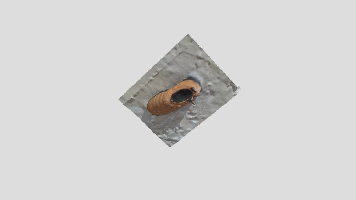 LAB3_ BlakeD 3D Model